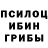 Галлюциногенные грибы Psilocybe KoptuGeliyor