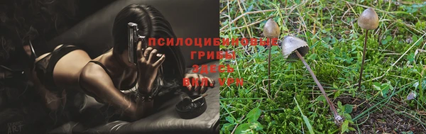 марихуана Магадан