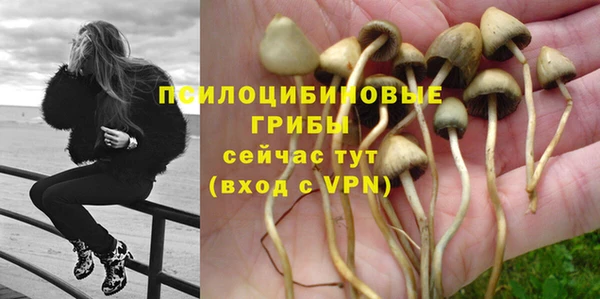 амф Магас