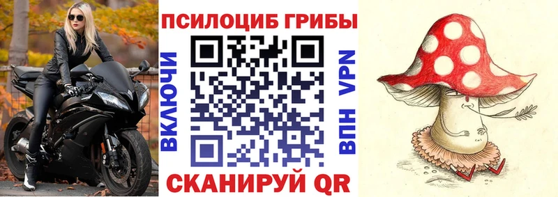 сколько стоит  Семилуки  Галлюциногенные грибы Psilocybine cubensis 