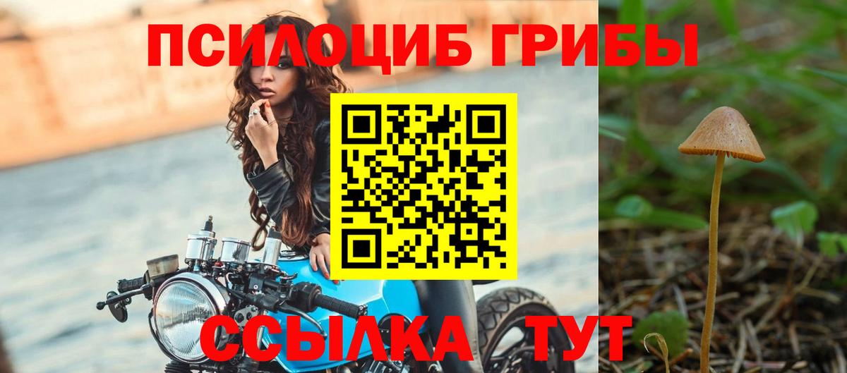 Псилоцибиновые грибы мицелий  Вход с VPN  Семилуки 