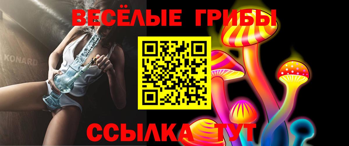 Псилоцибиновые грибы Psilocybe Семилуки